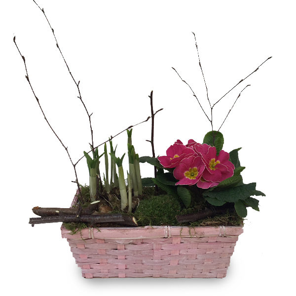 Jardiniere