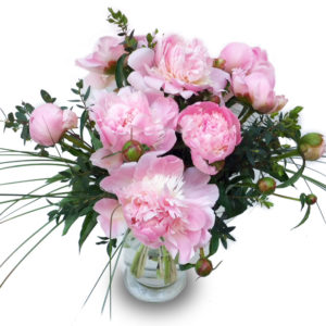 Bouquet de pivoines / Fleurs Kammerer
