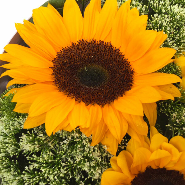 boite-estivale-tournesols-2