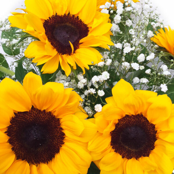 bouquet-tournesols-2
