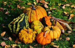 atelier automne