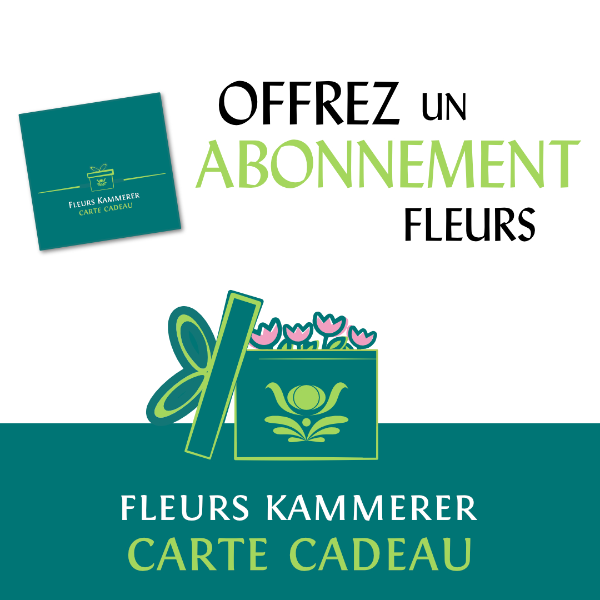 Abonnement de fleurs - Fleurs KAMMERER