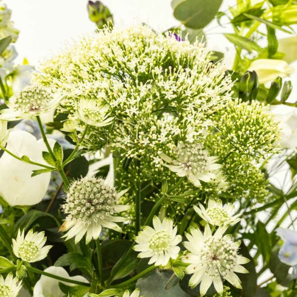 Bouquet champêtre – Image 3